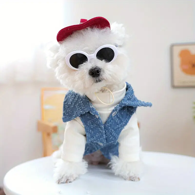 Dog Fashion Baseball Cap with  - Street Fashion Shoot review and price